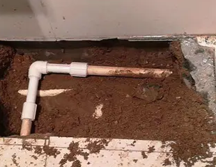 顺平县测漏水哪家好