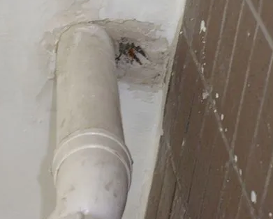 顺平县漏水检测哪家好